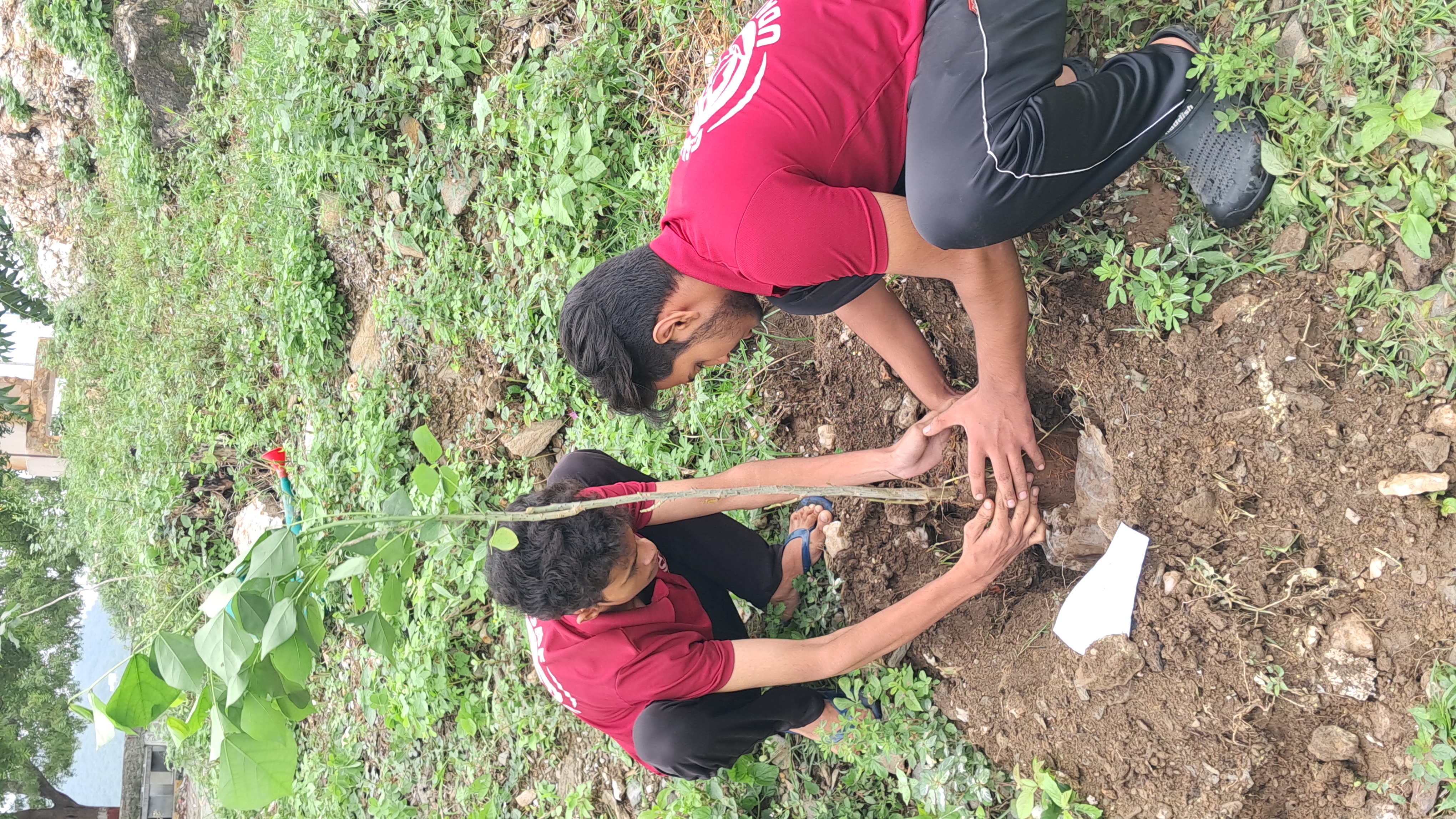 पर्यावरण